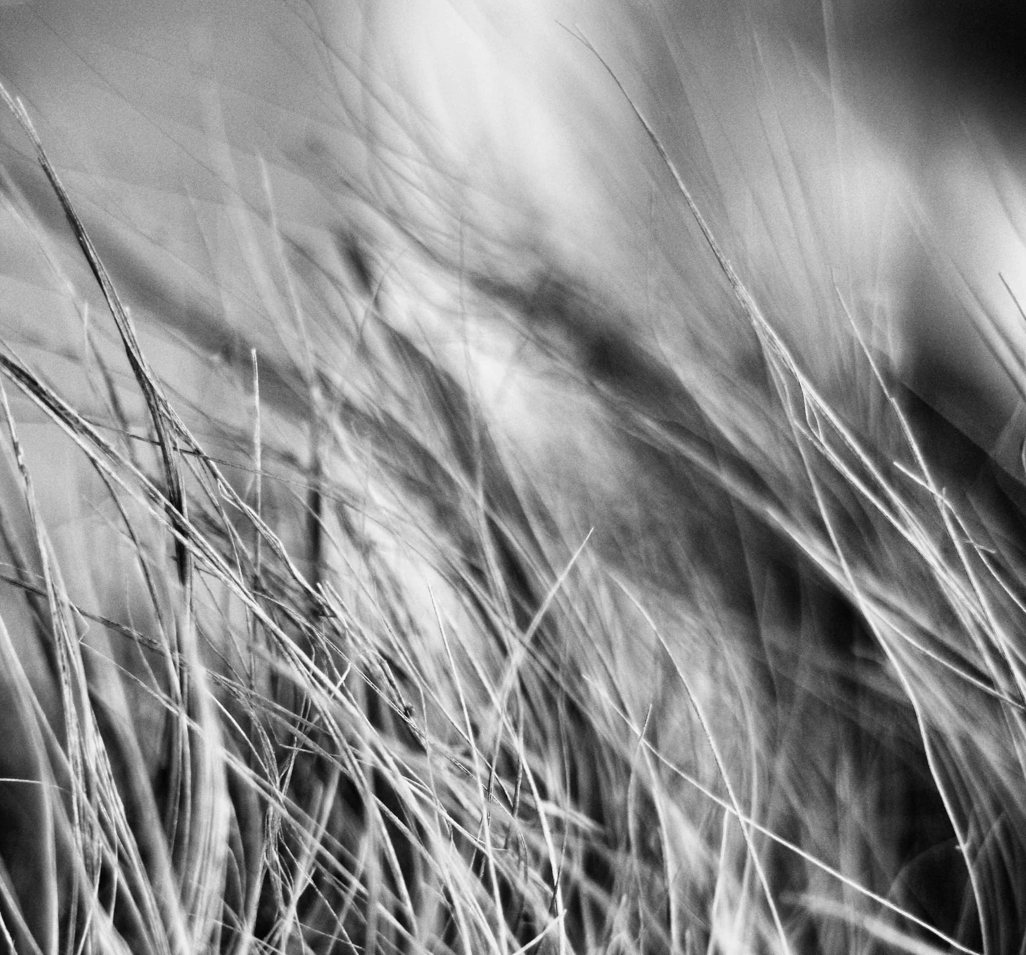 Cracked earth forming natural patterns