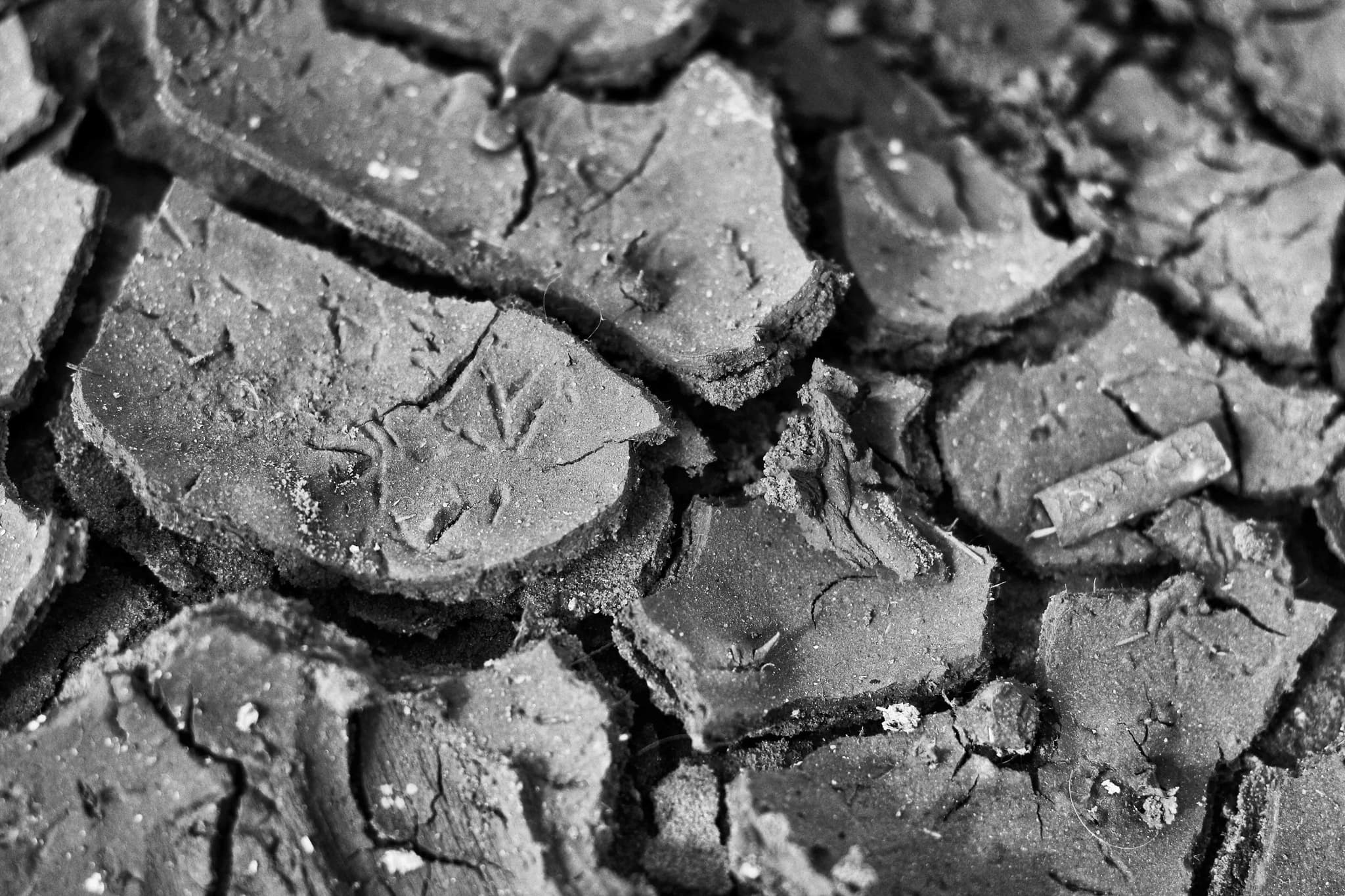 Cracked earth forming natural patterns