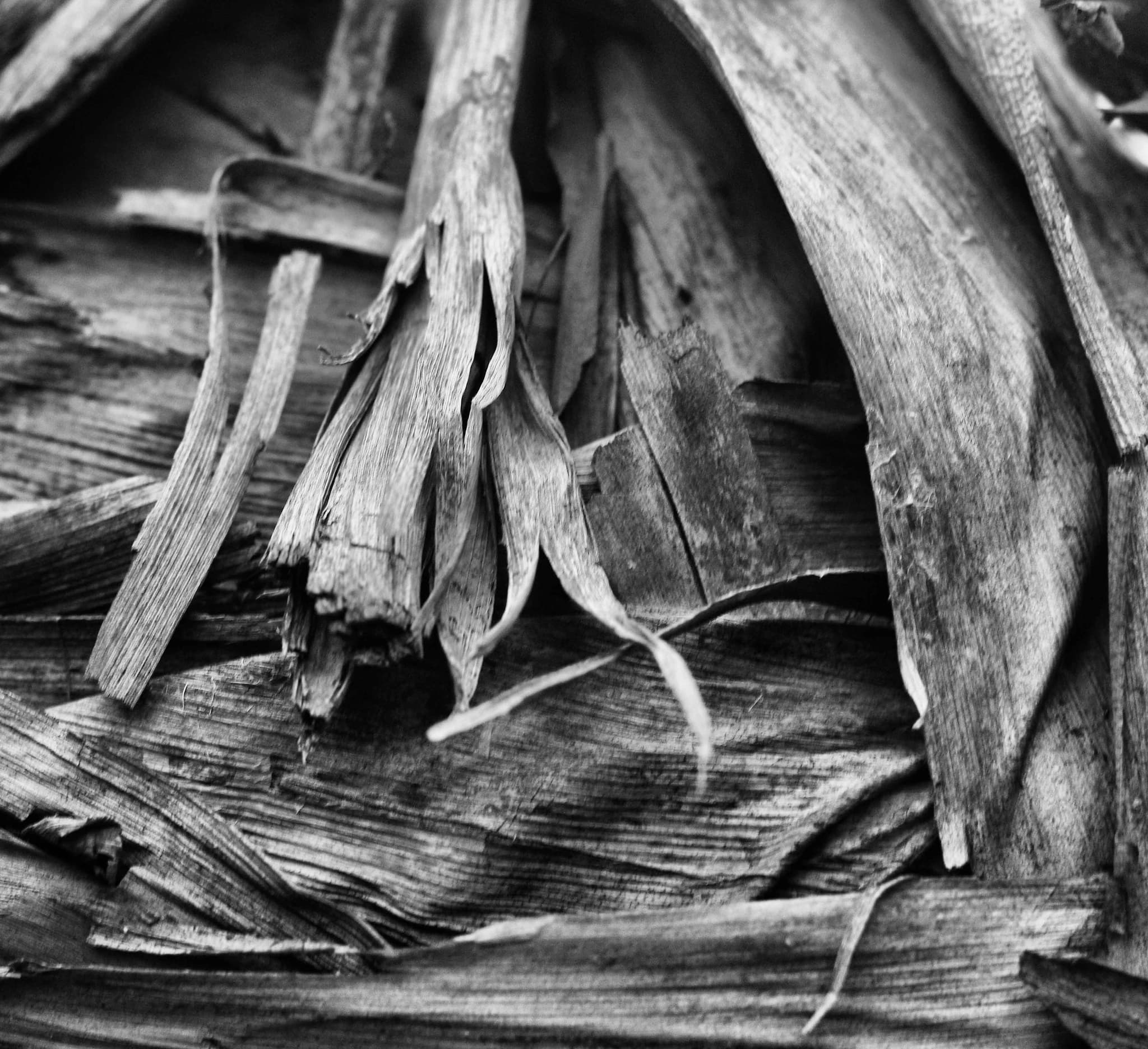 Cracked earth forming natural patterns