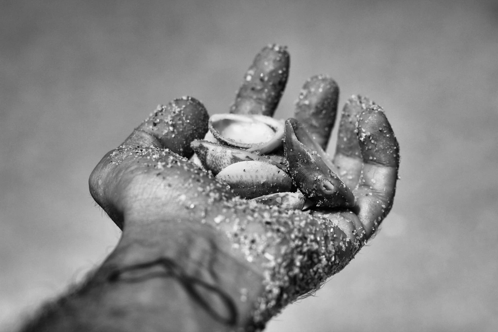Shoulder and collarbone in dramatic light
