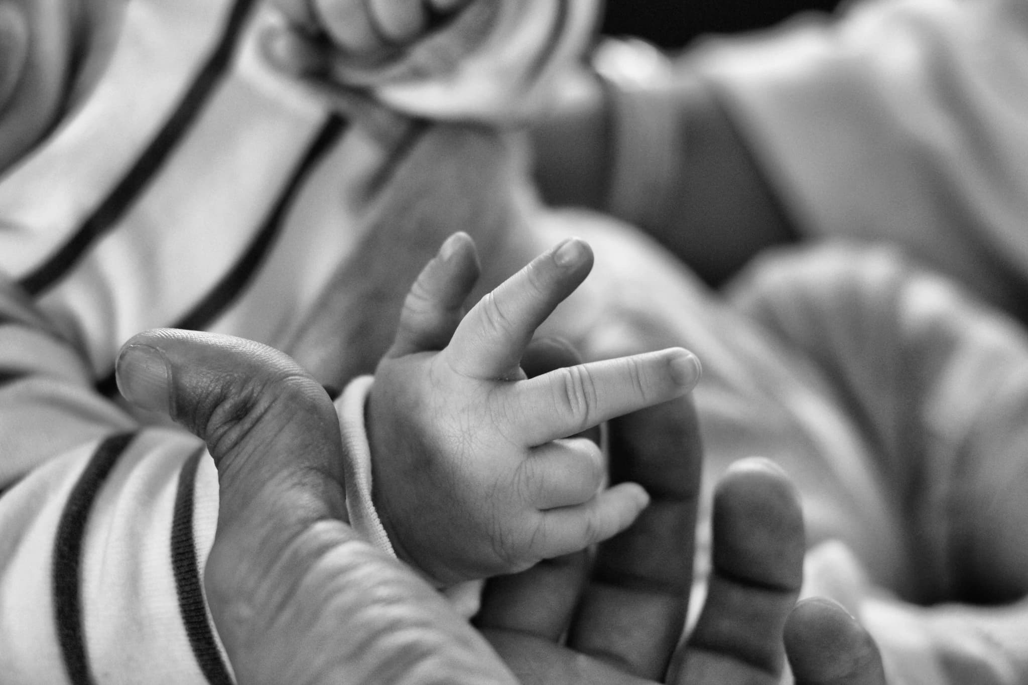 Fingers brushing through tall grass