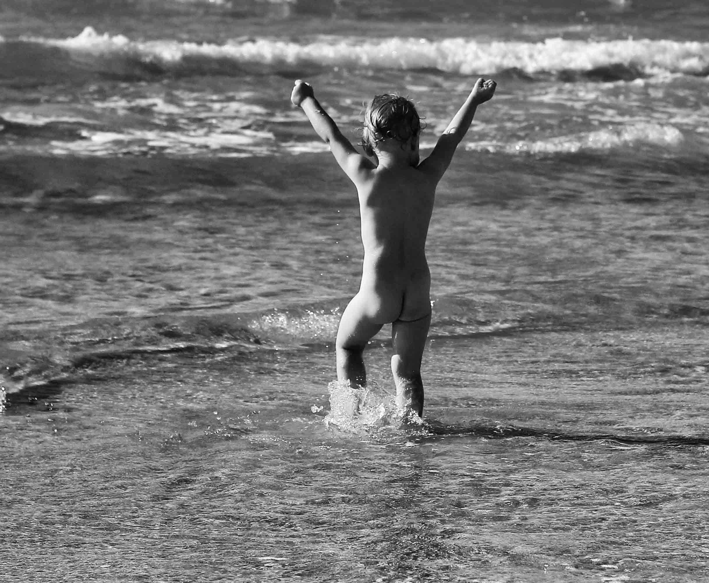 Birds flying over the surf
