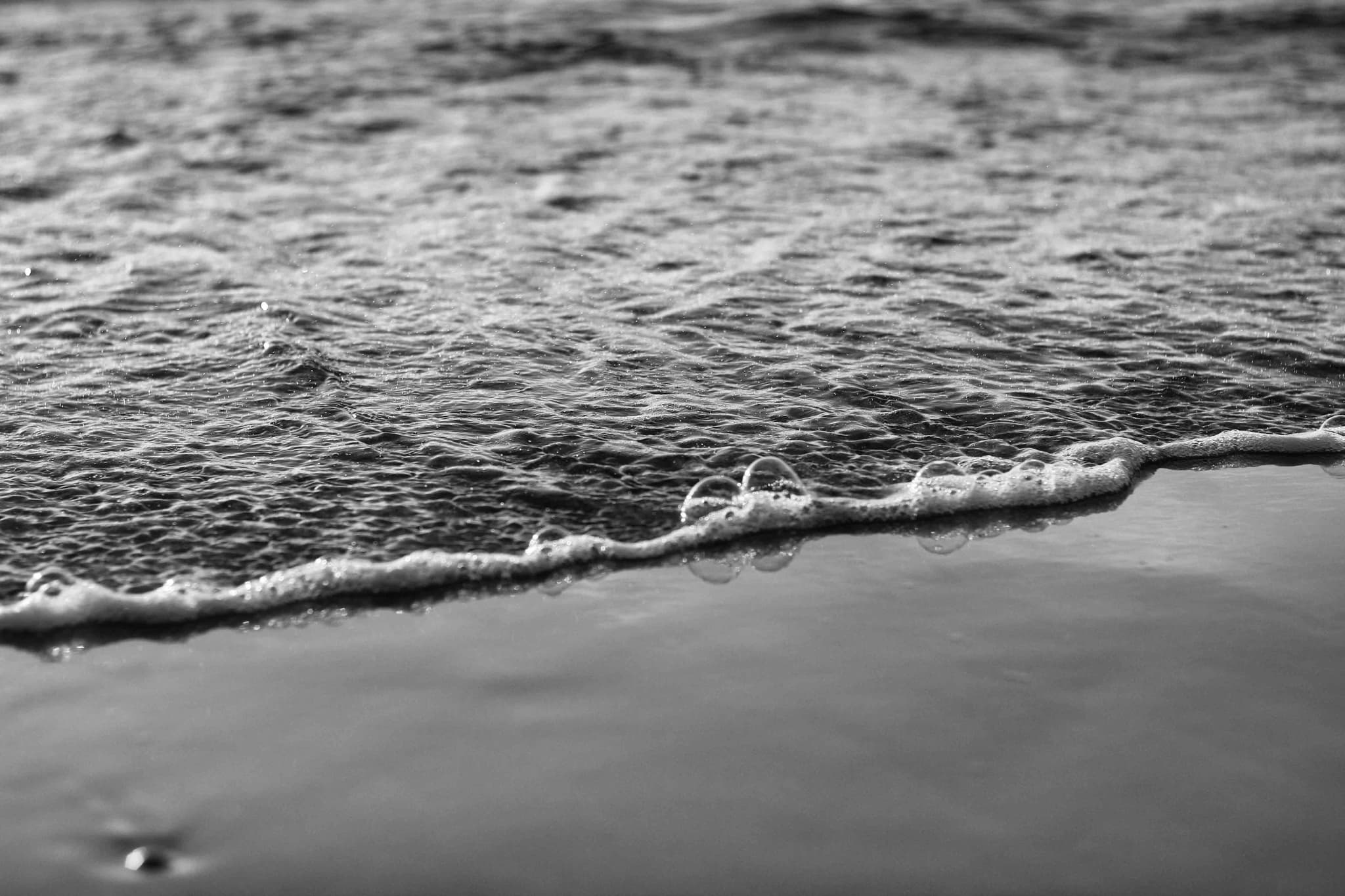 Shells scattered on the shore