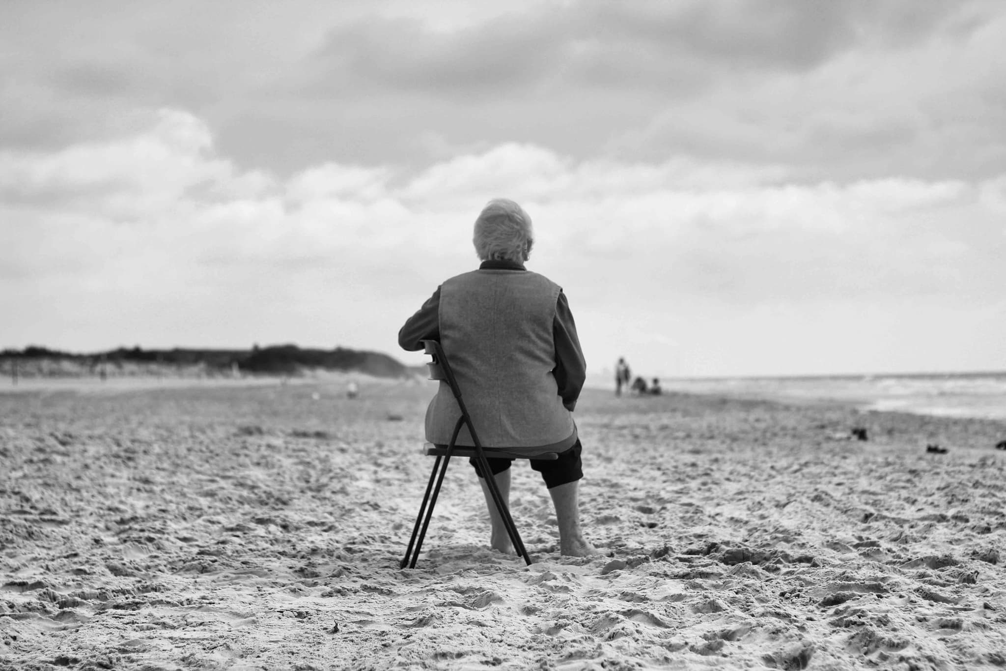 Driftwood on a lonely beach