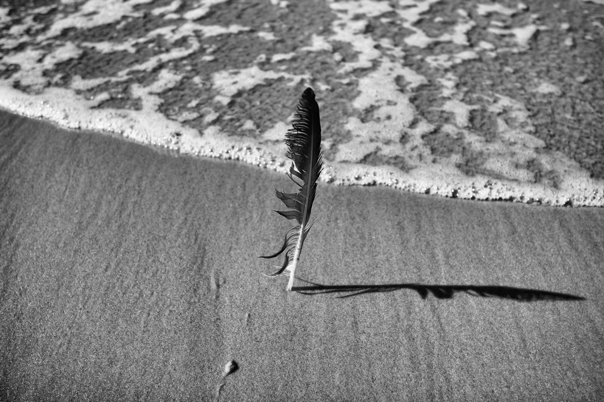 Rocky shoreline at dusk