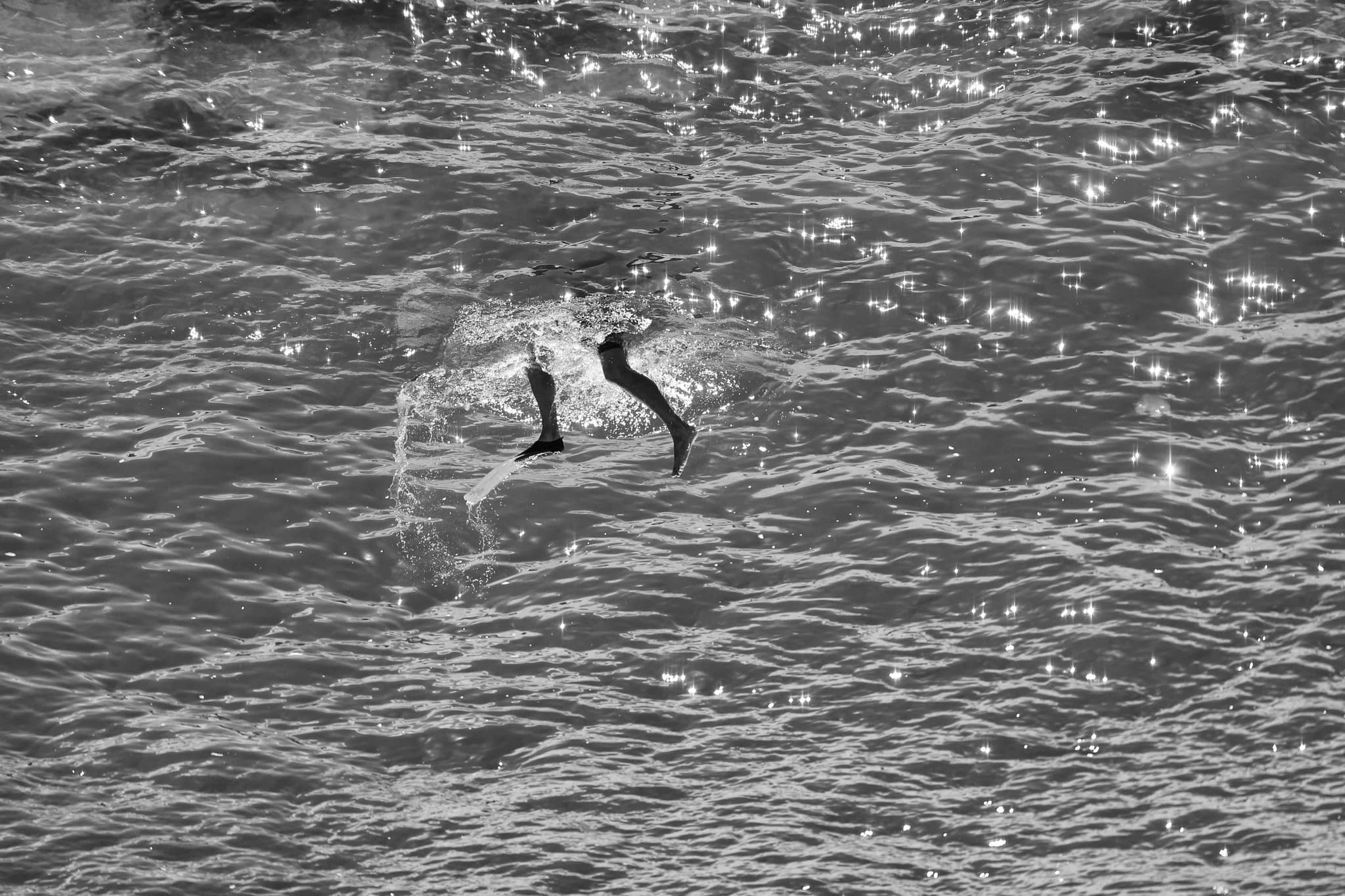 Sand dunes near the coast