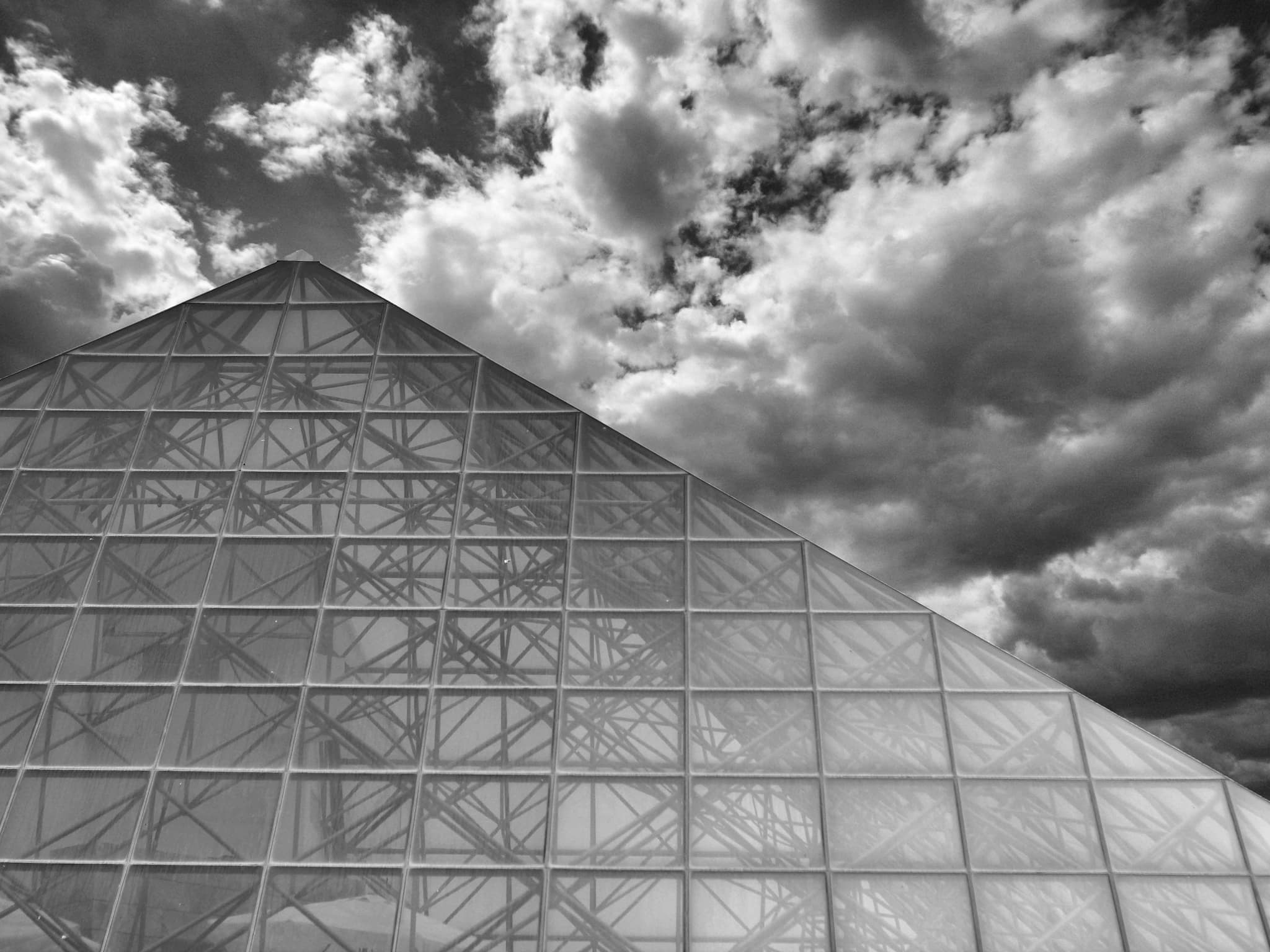 Neon-lit alley in the rain